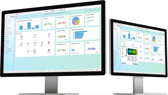 Sap business one device